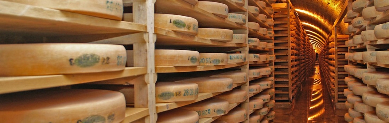 C062 Logo repreneur.jpg